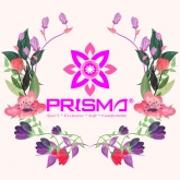 Produsen Kaos Kaki Prisma